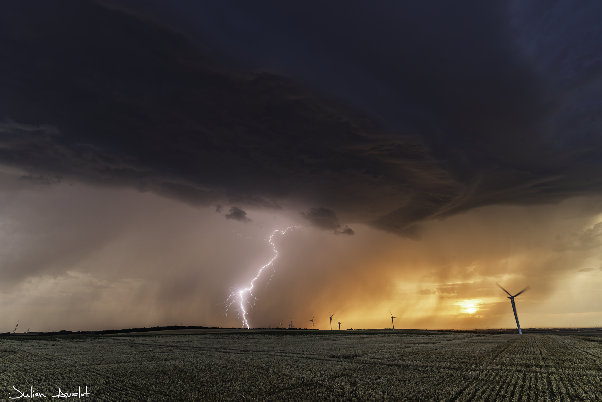 Jeudi 4 aout 2022 - Chaudrey (Aube)10