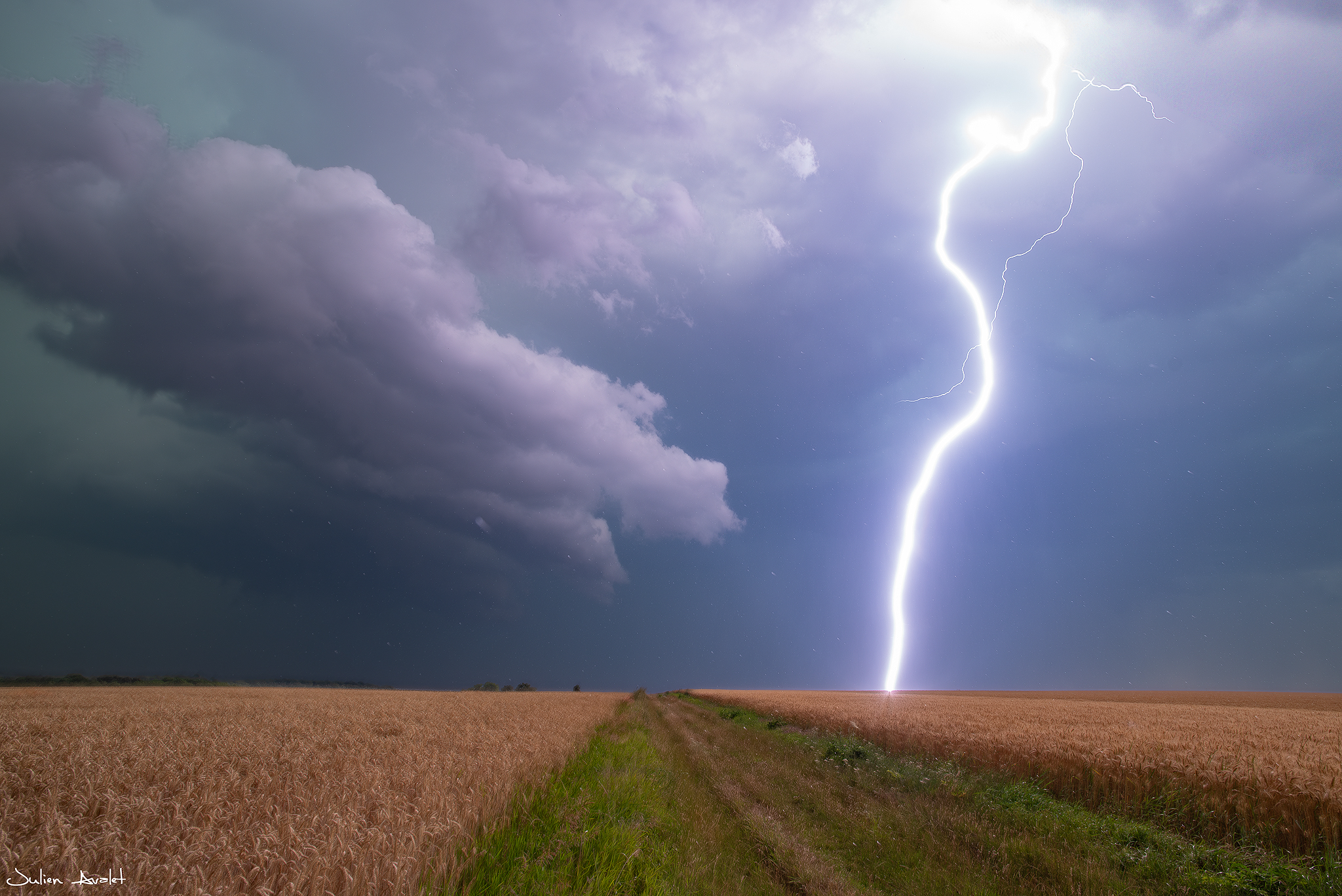 Véritable coup de canon à quelques centaines de mètres pour mon plus grand plaisir.