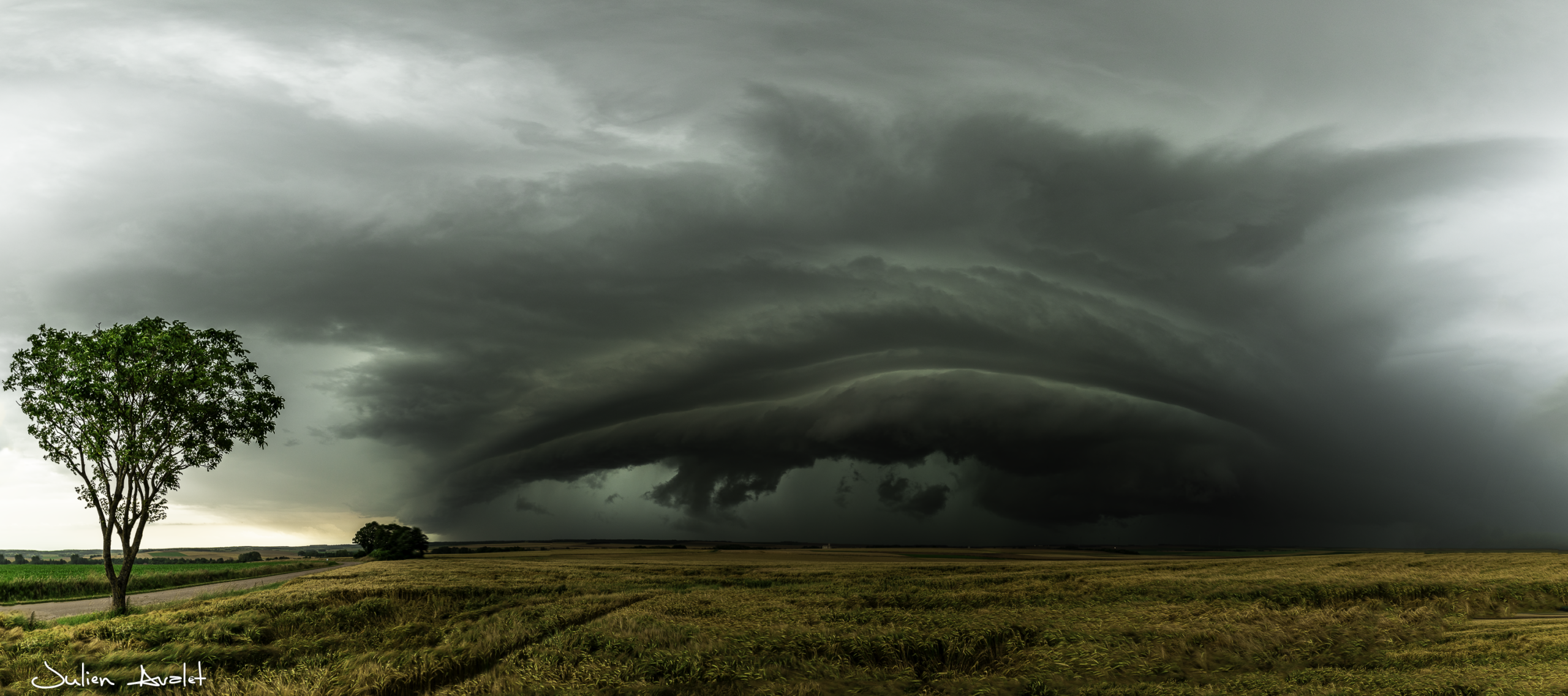 "Vue large d'une supercellule massive aux teintes sombres et contrastées, capturée avant son évolution en Arcus lors des orages de 2024."
Cet orage fut malheureusement meurtrier.